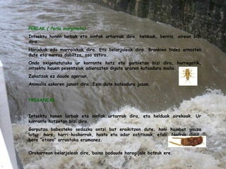 PERLAK  ( Perla marginata) Intsektu honen larbak eta ninfak urtarrak dira, helduak, berriz, airean bizi dira. Horixkak edo marroixkak dira. Eta belarjaleak dira. Brankien bidez arnasten dute eta narras dabiltza, oso astiro. Ondo oxigenatutako ur korronte hotz eta garbietan bizi dira, horregatik, intsektu hauen pesentziak adierazten digute uraren kutsadura maila. Zakatzak ez daude agerian. Animalia askoren janari dira .Ezin dute kutsadura jasan. FRIGANEAK   Intsektu honen larbak eta ninfak urtarrak dira, eta helduak airekoak. Ur korronte hotzetan bizi dira. Gorputza babesteko sedazko ontzi bat eraikitzen dute, honi hainbat gauza lotuz: hare, harri-koskorrak, hosto eta adar zatitxoak, etab. Narras dabil, bere “etxea” arrastaka eramanez. Orokorrean belarjaleak dira, baina badaude haragijale batzuk ere.   