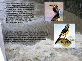 Buztanikara horia: 18 cm-ko gorputz liraina, isats luzea, nahikoa moko luzea eta hanka luzeak ditu. Bizkarraldea gris urdinxka du eta sabelaldea horia. Maiz ibiltzen da lurretik oinez edo korrika eta tarteka hegaldi txikiak egiten ditu intsektuak harrapatzeko. Habia uretatik gertu egiten du, haitzetan edo eraikuntzetako zuloetan   Martin arrantzalea: 16 cm-ko gorputz sendoa, hego eta isats laburrak, buru handia eta moko luze eta sendoa ditu. Lumajea buru eta bizkarraldean berde urdinxka distiratsua da eta sabelaldean arre gorrixka. Uretatik gertu egiten du hegan eta arrain txiki edo intsektu urtarrak jaten ditu. Habia ibaiertzeko ezpondetan egiten du. Ibaien egoera txarra dela eta, nahikoa urria da Euskal Herrian . 