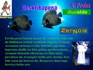 6. Proba Deskribapena Erreka presa batean hasten da, eta honek esan nahi du ibilbidean zerbait artifiziala dagoela. Gainera Arrasaten sartzean erreka bideratu egin dute, inguruan ahalik eta leku gehien aprobetxatzeko. Aramaio ibairekin elkartzan ere bideratuta jarraitzen du.Araztegira heldu arte, bertan, bere bide naturala hartzen du, Bergarara (hurrengo herrira) heldu arte. 