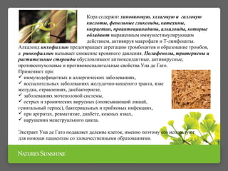 Кора содержит хиновиновую, эллаговую и галловую
кислоты, фенольные гликозиды, катехины,
кверцетин, проантоцианидины, алкалоиды, которые
обладают выраженным иммуностимулирующим
действием, активируя макрофаги и Т-лимфоциты.
Алкалоид инхофиллин предотвращает агрегацию тромбоцитов и образование тромбов,
а ринкофиллин вызывает снижение кровяного давления. Полифенолы, тритерпены и
растительные стероиды обусловливают антиоксидантные, антивирусные,
противоопухолевые и противовоспалительные свойства Уна де Гато.
Применяют при:
 иммунодефицитных и аллергических заболеваниях,
 воспалительных заболеваниях желудочно-кишеного тракта, язве
желудка, отравлениях, дисбактериозе,
 заболеваниях мочеполовой системы,
 острых и хронических вирусных (опоясывающий лишай,
генитальный герпес), бактериальных и грибковых инфекциях,
 при артритах, ревматизме, диабете, кожных язвах,
 нарушении менструального цикла.
Экстракт Уна де Гато подавляет деление клеток, именно поэтому его используют
для помощи пациентам со злокачественными образованиями.
 