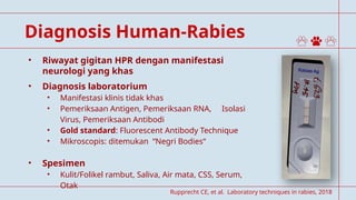 Comprehensive Management of Rabies: Protocols, Diagnosis, and ...