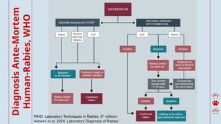 Cook County Rabies Protocol Comprehensive Management of Rabies: Protocols, Diagnosis, and ...