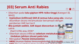 Comprehensive Management of Rabies: Protocols, Diagnosis, and ...