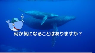 68
何か気になることはありますか？
 