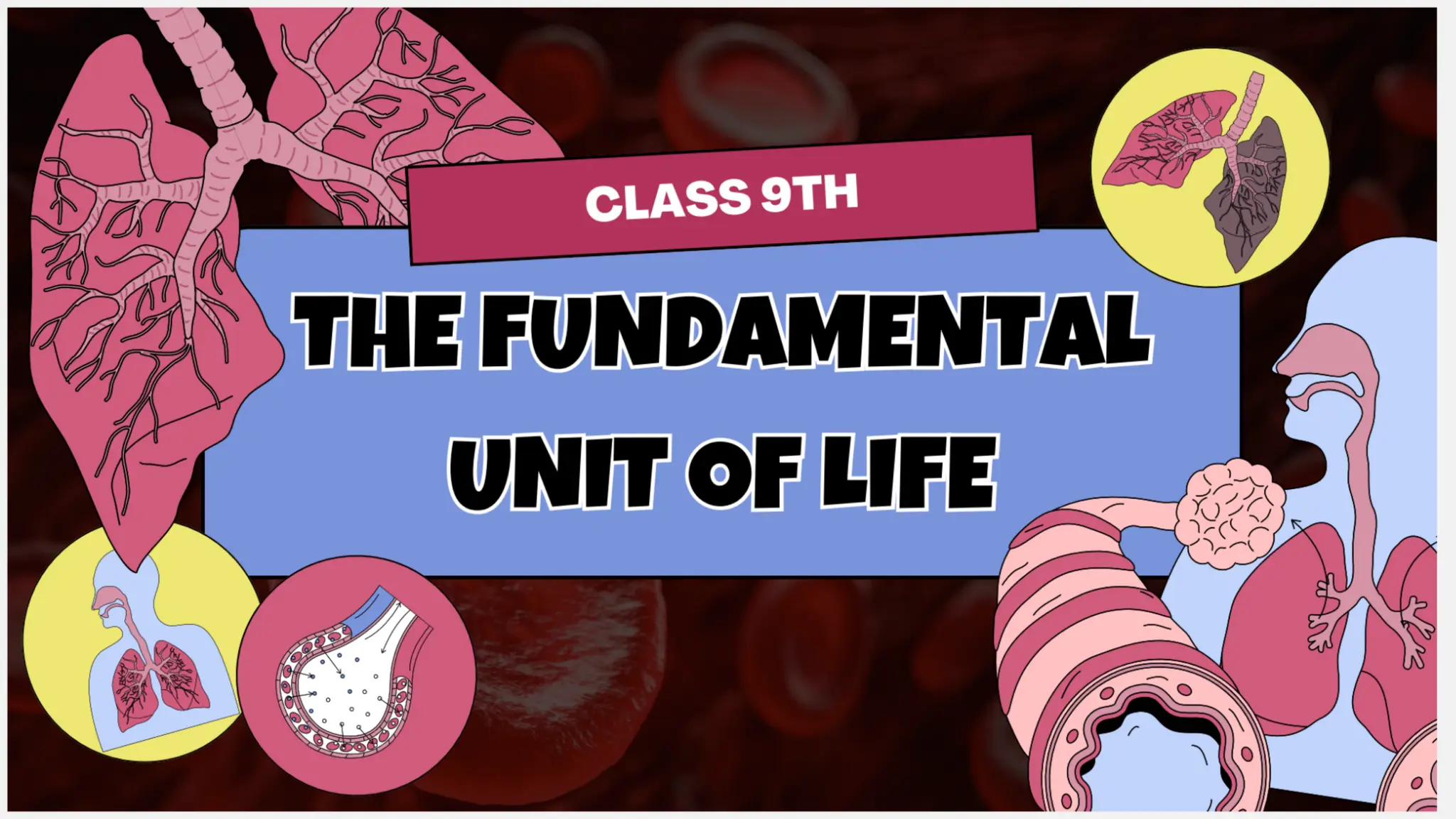 Class 9 student NOTES 1234567891011121314 | PDF