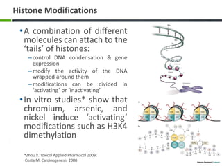 Comprehensive Insights into Histone Modifications and Epigenetic ...