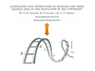 Comprehensive Insights into Histone Modifications and Epigenetic ...