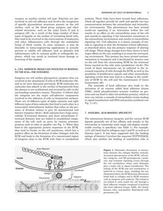 (Ebook) Wiley Encyclopedia of Biomedical Engineering, 6-Volume Set by ...