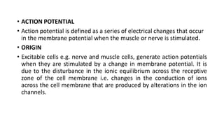 Comprehensive Overview of Resting Membrane Potential and Action ...