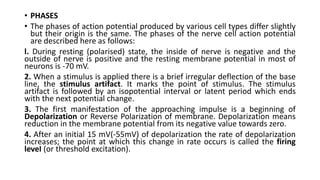 Comprehensive Overview of Resting Membrane Potential and Action ...