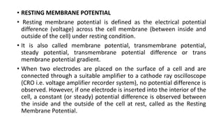 Comprehensive Overview of Resting Membrane Potential and Action ...