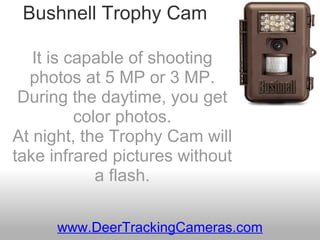 Bushnell Trophy Cam It is capable of shooting photos at 5 MP or 3 MP. During the daytime, you get color photos. At night, the Trophy Cam will take infrared pictures without a flash. www.DeerTrackingCameras.com 