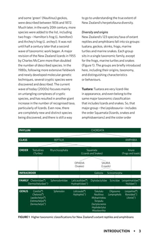 Reptiles And Amphibians Of New Zealand A Field Guide None Dylan Van ...