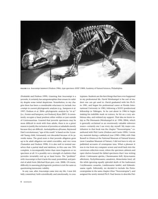 Paulosaurus New Perspectives On Horned Dinosaurs The Royal Tyrrell Museum ...