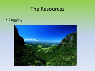 The Resources
• Logging
 