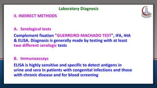 17596010.ppt parasitology lucture 1. zoology | PPT