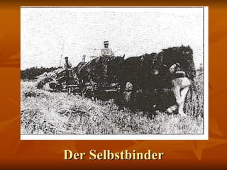 Der Selbstbinder 