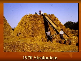 1970 Strohmiete  
