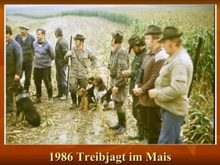 1986 Treibjagt im Mais 