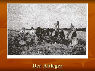 Der Ableger 