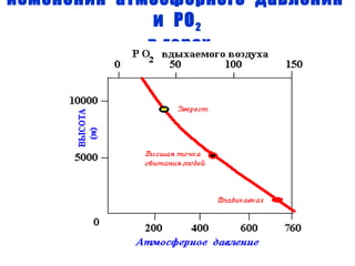 Изменения  атмосферного  давления  и  РО 2  в горах 