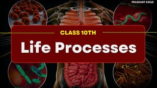 CLASS 10TH
PRASHANT KIRAD
 