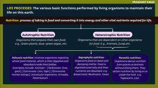 LIFE PROCESSES: The various basic functions performed by living organisms to maintain their
life on this earth.
PRASHANT KIRAD
Autotrophic Nutrition Heterotrophic Nutrition
Nutrition: process of taking in food and converting it into energy and other vital nutrients required for life.
Organisms that prepare their own food.
e.g., Green plants, blue-green algae, etc.
Organisms that are dependent on other organisms
for food. E.g., Animals, fungi,etc.
Holozoic nutrition: involves organisms ingesting
whole food material, which is then digested and
absorbed inside their bodies.
Examples include: Animals - [Herbivores: Cow,
goat], [Carnivores: Lion, tiger], [Omnivores:
Human beings], Unicellular organisms: Amoeba,
Paramecium
Saprophytic nutrition:
Organisms feed on dead and
decaying matter. Food is
digested externally and then
nutrients are absorbed. e.g.
Bread mold, Mushroom, Yeast.
Parasitic nutrition:
Organisms derive nutrition
from plants or animals
without killing them. They
obtain nutrition by living on or
inside the host. e.g.
Tapeworm, Lice .
 