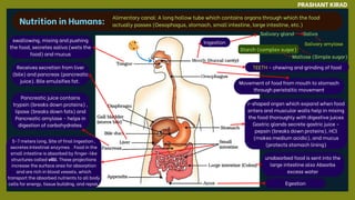 Ingestion
TEETH - chewing and grinding of food
swallowing, mixing and pushing
the food, secretes saliva (wets the
food) and mucus
J-shaped organ which expand when food
enters and muscular walls help in mixing
the food thoroughly with digestive juices
Gastric glands secrete gastric juice -
pepsin (breaks down proteins), HCl
(makes medium acidic), and mucus
(protects stomach lining)
Receives secretion from liver
(bile) and pancreas (pancreatic
juice). Bile emulsifies fat.
unabsorbed food is sent into the
large intestine also Absorbs
excess water
Egestion
Movement of food from mouth to stomach
through peristaltic movement
Salivary gland Saliva
Salivary amylase
Starch (complex sugar)
Maltose (Simple sugar)
Pancreatic juice contains
trypsin (breaks down proteins) ,
lipase (breaks down fats) and
Pancreatic amylase - helps in
digestion of carbohydrates.
5-7 meters long, Site of final ingestion ,
secretes Intestinal enzymes. . Food in the
small intestine is absorbed by finger-like
structures called villi. These projections
increase the surface area for absorption
and are rich in blood vessels, which
transport the absorbed nutrients to all body
cells for energy, tissue building, and repair.
PRASHANT KIRAD
Nutrition in Humans:
Alimentary canal: A long hollow tube which contains organs through which the food
actually passes (Oesophagus, stomach, small intestine, large intestine, etc.)
 