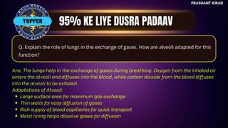 TOP QUESTIONS
PRASHANT KIRAD
TOPPER
Q. Explain the role of lungs in the exchange of gases. How are alveoli adapted for this
function?
Ans. The lungs help in the exchange of gases during breathing. Oxygen from the inhaled air
enters the alveoli and diffuses into the blood, while carbon dioxide from the blood diffuses
into the alveoli to be exhaled.
Adaptations of Alveoli:
Large surface area for maximum gas exchange
Thin walls for easy diffusion of gases
Rich supply of blood capillaries for quick transport
Moist lining helps dissolve gases for diffusion
 