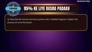 TOP QUESTIONS
PRASHANT KIRAD
TOPPER
Q. Describe the human excretory system with a labelled diagram. Explain the
process of urine formation.
 