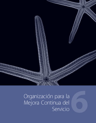 6Organización para la
Mejora Continua del
Servicio
 