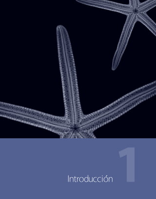 1Introducción
 