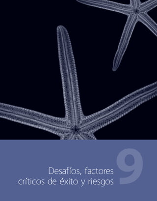 9	 Desafíos, factores
críticos de éxito y riesgos
 
