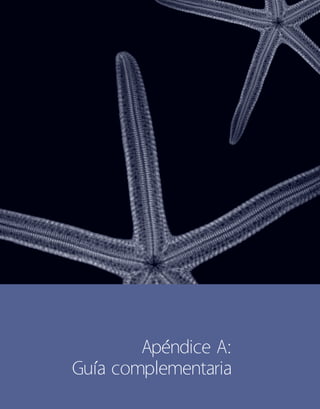 Apéndice A:
Guía complementaria
 