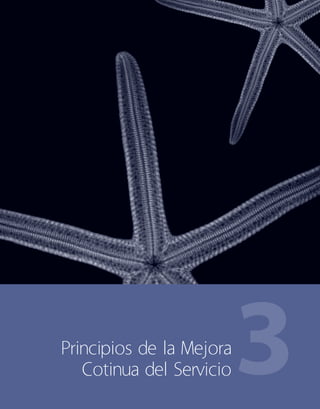 3Principios de la Mejora
Cotinua del Servicio
 