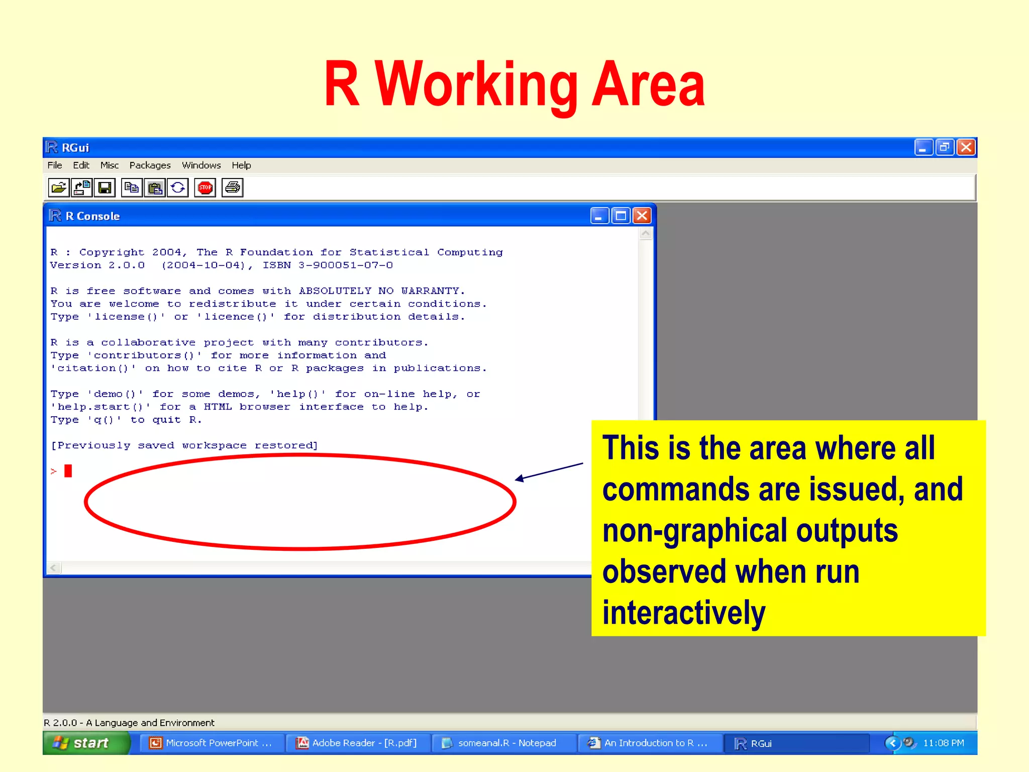 R Working Area
This is the area where all
commands are issued, and
non-graphical outputs
observed when run
interactively
 