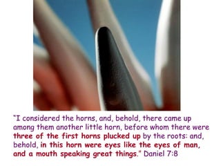 “I considered the horns, and, behold, there came up among them another little horn, before whom there were three of the first horns plucked up by the roots: and, behold, in this horn were eyes like the eyes of man, and a mouth speaking great things.” Daniel 7:8  