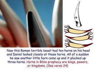 Now this Roman terrible beast had ten horns on his head and Daniel looked closely at these horns. All of a sudden he saw another little horn come up and it plucked up three horns. Horns in Bible prophecy are kings, powers, or kingdoms. (See verse 24)  