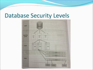 Database Security Levels
 