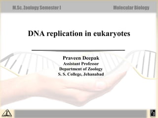 M.Sc. Zoology Semester I Molecular Biology
DNA replication in eukaryotes
Praveen Deepak
Assistant Professor
Department of Zoology
S. S. College, Jehanabad
 