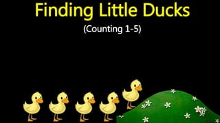 Finding Little Ducks
(Counting 1-5)
 