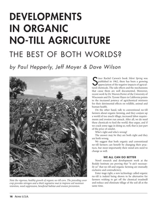 16 Acres U.S.A.
by Paul Hepperly, Jeff Moyer & Dave Wilson
Developments
in Organic
No-Till Agriculture
The Best of Both Worlds?
S
ince Rachel Carson’s book Silent Spring was
published in 1962, there has been a growing
appreciation of the negative impacts of agricul-
tural chemicals. The side effects and the mechanisms
that cause them are well documented. Moreover,
recent work by Dr. Warren Porter of the University of
Wisconsin and Dr. Tyrone Hayes in California points
to the increased potency of agrichemical mixtures
for their detrimental effects on wildlife, animal and
human health.
On the other hand, talk to conventional no-till
farmers about organic farming, and they conjure up
a world of too much tillage, increased labor require-
ments and erosion run amuck. After all, we do need
these chemicals to feed the world, they argue, and if
we crack some eggs in doing so, well, that is just part
of the price of omelet.
Who’s right and who’s wrong?
The answer may be they are both right and they
are both wrong.
We suggest that both organic and conventional
no-till farmers can benefit by changing their prac-
tices, but most importantly their mind-sets need to
change as well.
WE ALL CAN DO BETTER
Novel research and development work at the
Rodale Institute are proving that “it ain’t necessar-
ily so” that no-till and organic farming are mutually
exclusive and contradictory.
Enter stage right, a new technology called organic
no-till is indeed being shown to be alternative for
farmers wishing to get off the chemical treadmill
and reduce and eliminate tillage of the soil all at the
same time.
Note the vigorous, healthy growth of organic no-till corn. The preceding cover
crop provides nitrogen and a thick vegetative mat to improve soil moisture
retention, weed suppression, beneficial habitat and erosion prevention.
 