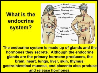 The endocrine system is made up of glands and the
hormones they secrete. Although the endocrine
glands are the primary hormone producers, the
brain, heart, lungs, liver, skin, thymus,
gastrointestinal mucosa, and placenta also produce
and release hormones.
 