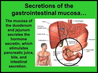 The mucosa of
the duodenum
and jejunum
secretes the
hormone
secretin, which
stimulates
pancreatic juice,
bile, and
intestinal
secretion.
 