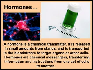 A hormone is a chemical transmitter. It is released
in small amounts from glands, and is transported
in the bloodstream to target organs or other cells.
Hormones are chemical messengers, transferring
information and instructions from one set of cells
to another.
 