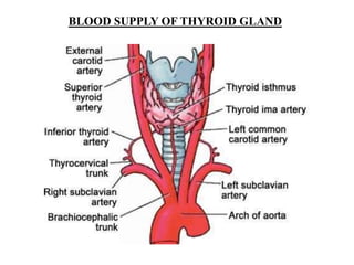 BLOOD SUPPLY OF THYROID GLAND
 