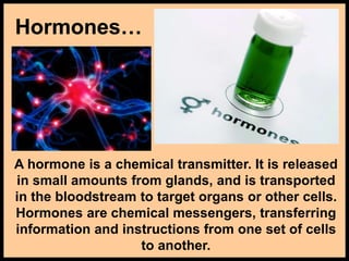 Hormones…
A hormone is a chemical transmitter. It is released
in small amounts from glands, and is transported
in the bloodstream to target organs or other cells.
Hormones are chemical messengers, transferring
information and instructions from one set of cells
to another.
 