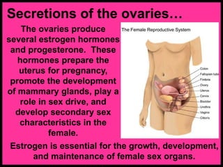 Secretions of the ovaries…
The ovaries produce
several estrogen hormones
and progesterone. These
hormones prepare the
uterus for pregnancy,
promote the development
of mammary glands, play a
role in sex drive, and
develop secondary sex
characteristics in the
female.
Estrogen is essential for the growth, development,
and maintenance of female sex organs.
 