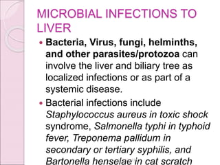 MICROBIAL INFECTIONS TO
LIVER
 Bacteria, Virus, fungi, helminths,
and other parasites/protozoa can
involve the liver and biliary tree as
localized infections or as part of a
systemic disease.
 Bacterial infections include
Staphylococcus aureus in toxic shock
syndrome, Salmonella typhi in typhoid
fever, Treponema pallidum in
secondary or tertiary syphilis, and
Bartonella henselae in cat scratch
10/10/2023
 