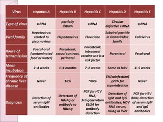 Virus Hepatitis A Hepatitis B Hepatitis C Hepatitis D Hepatitis E
Type of virus ssRNA
partially
dsDNA
ssRNA
Circular
defective ssRNA
ssRNA
Viral family
Hepatovirus;
related to
picornavirus
Hepadnavirus Flaviridae
Subviral particle
in Deltaviridae
family
Calicivirus
Route of
transmission
Faecal-oral
(contaminated
food or water)
Parenteral,
sexual contract,
perinatal
Parenteral;
intranasal
cocaine use is a
risk factor
Parenteral Fecal-oral
Mean
incubation
2–4 weeks 1–4 months 7–8 weeks Same as HBV 4–5 weeks
Frequency of
chronic liver
disease
Never 10% ~80%
5%(coinfection)
<70% for
superinfection
Never
Diagnosis
Detection of
serum IgM
antibodies
Detection of
HBsAg or
antibody to
HBcAg
PCR for HCV
RNA;
3rd-generation
ELISA for
antibody
detection
Detection of
IgM and IgG
antibodies; HDV
RNA serum;
HDAg in liver
PCR for HEV
RNA; detection
of serum IgM
and IgG
antibodies
 